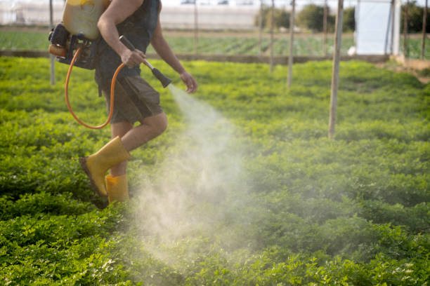 Best Affordable Pest Control Services  in West Point, NE