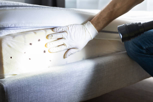 Best Emergency Pest Control  in West Point, NE