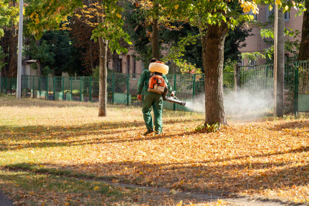 Insect Control in West Point, NE