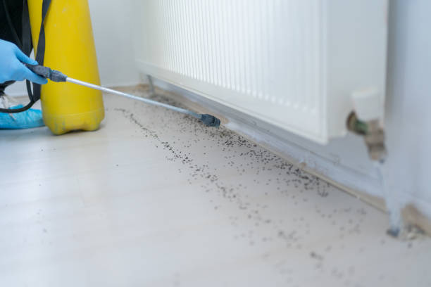 Trusted West Point, NE Pest Control Experts